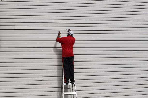 Best Steel Siding Installation  in West Memphis, AR