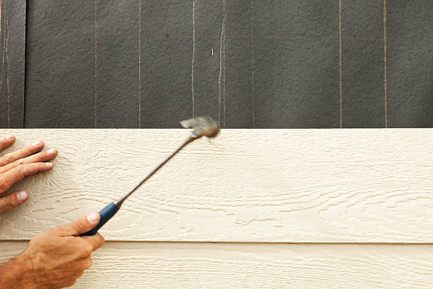 Best Insulated Siding Installation  in West Memphis, AR